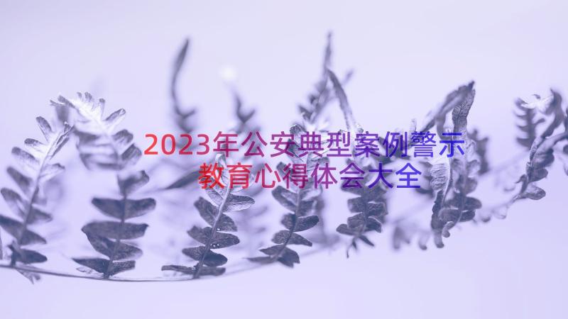 2023年公安典型案例警示教育心得体会大全（13篇）