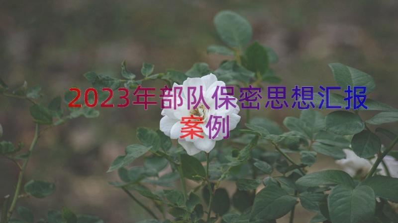 2023年部队保密思想汇报（案例15篇）