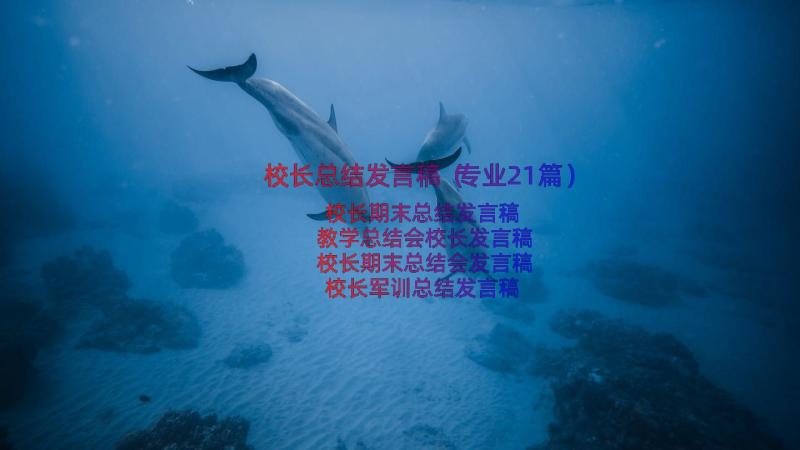 校长总结发言稿（专业21篇）