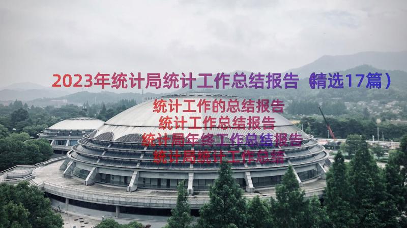 2023年统计局统计工作总结报告（精选17篇）