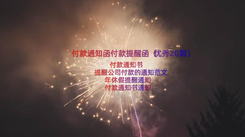 付款通知函付款提醒函（优秀20篇）