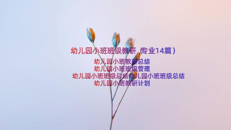 幼儿园小班班级教研（专业14篇）