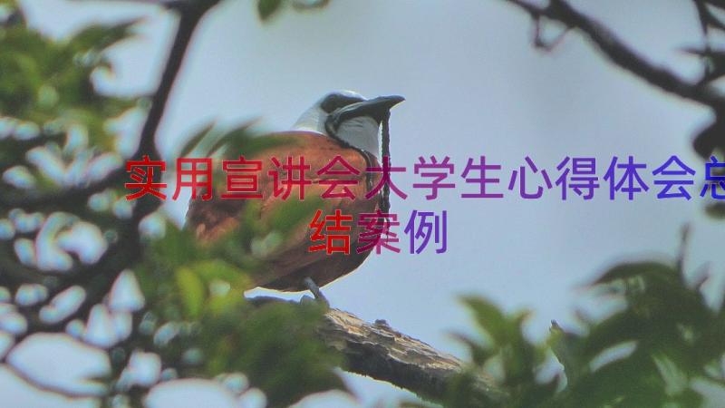 实用宣讲会大学生心得体会总结（案例17篇）