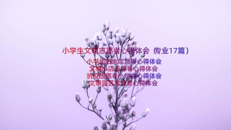 小学生文明志愿者心得体会（专业17篇）