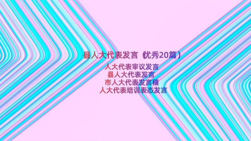 县人大代表发言（优秀20篇）