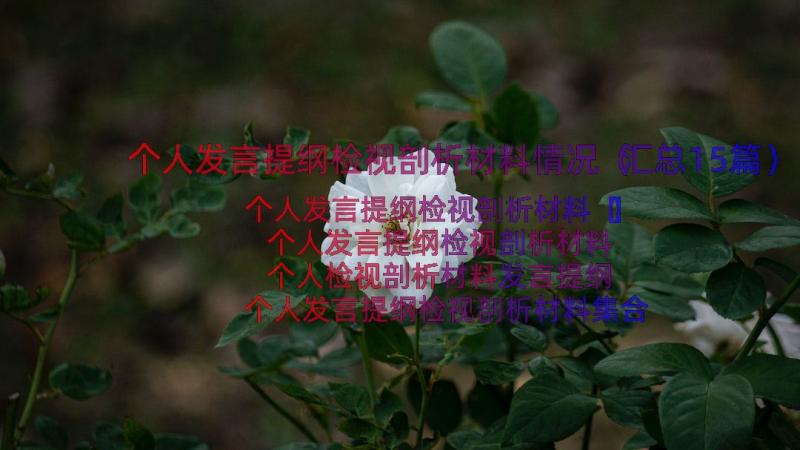 个人发言提纲检视剖析材料情况（汇总15篇）