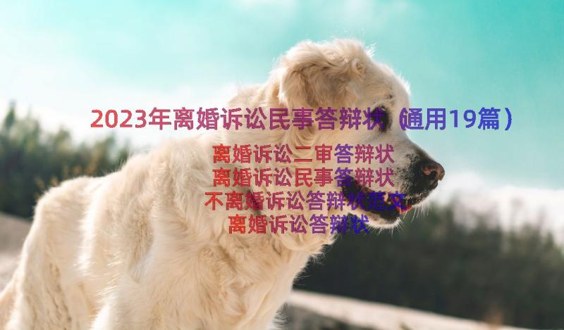 2023年离婚诉讼民事答辩状（通用19篇）