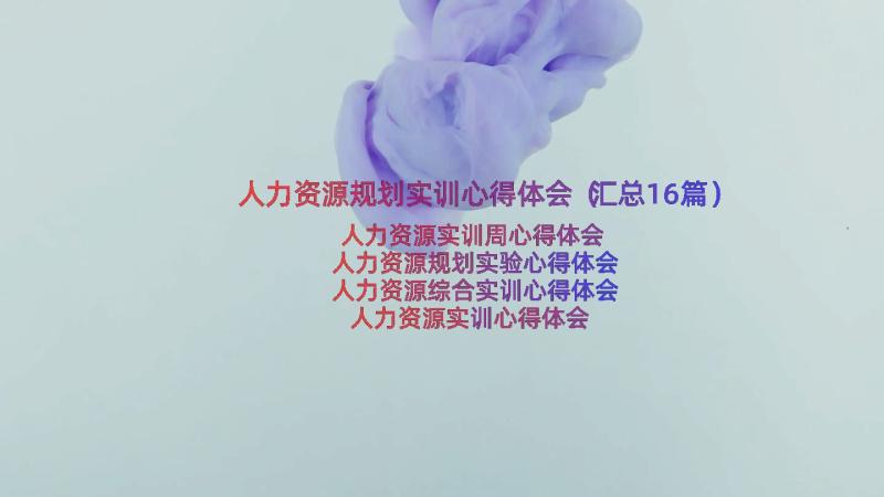 人力资源规划实训心得体会（汇总16篇）