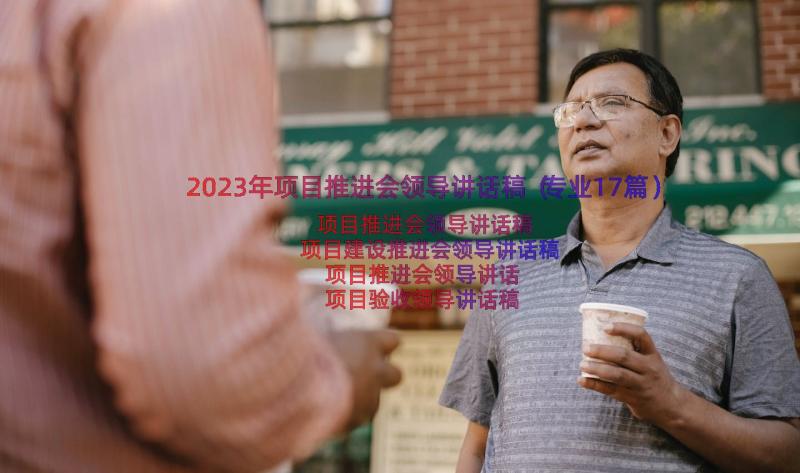 2023年项目推进会领导讲话稿（专业17篇）