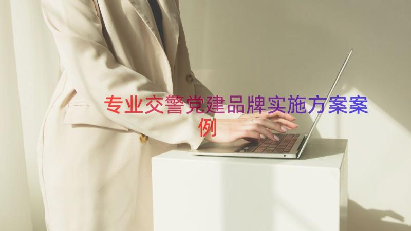 专业交警党建品牌实施方案（案例19篇）