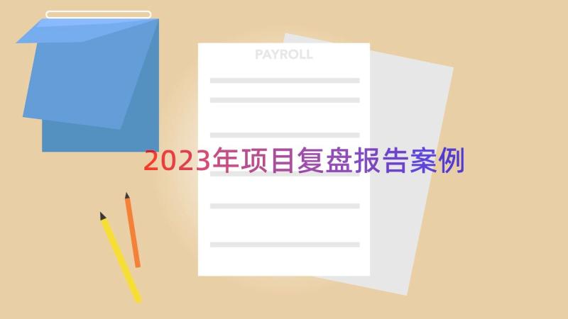 2023年项目复盘报告（案例13篇）