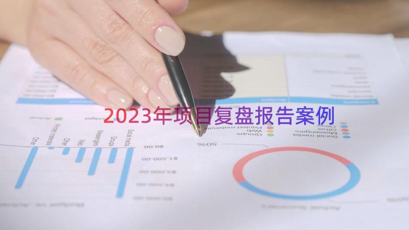 2023年项目复盘报告（案例17篇）