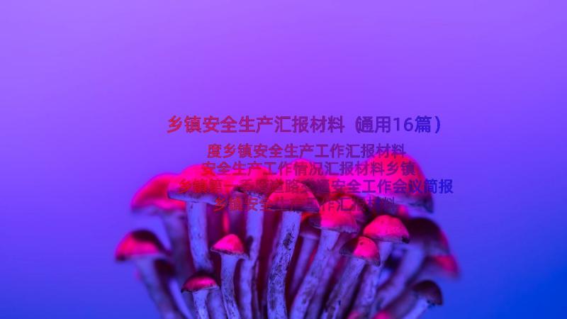 乡镇安全生产汇报材料（通用16篇）