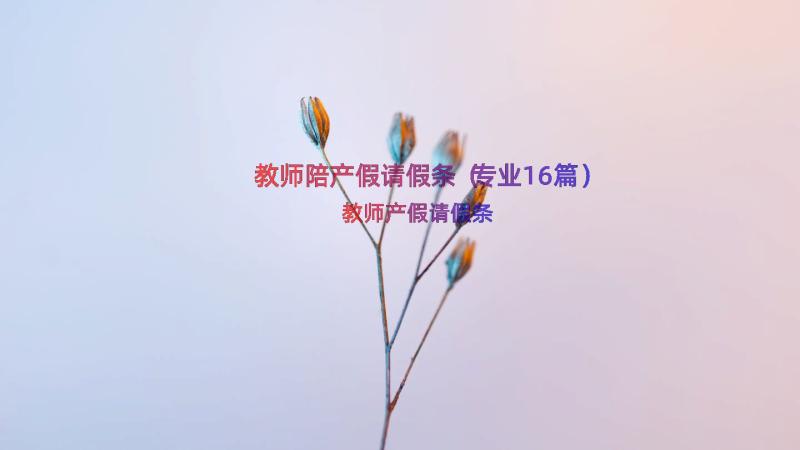 教师陪产假请假条（专业16篇）