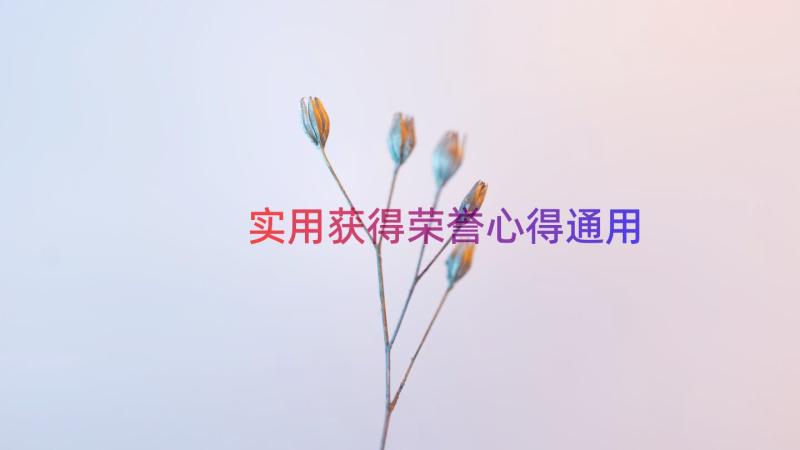 实用获得荣誉心得（通用15篇）