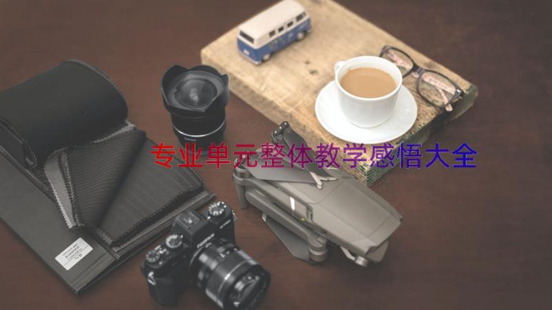 专业单元整体教学感悟大全（16篇）