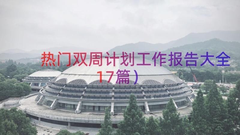 热门双周计划工作报告大全（17篇）