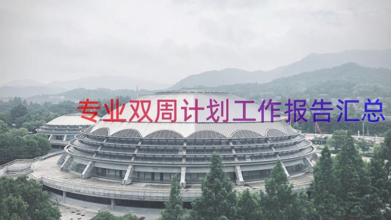 专业双周计划工作报告（汇总12篇）