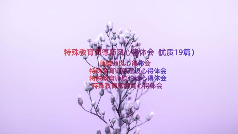 特殊教育师德师风心得体会（优质19篇）