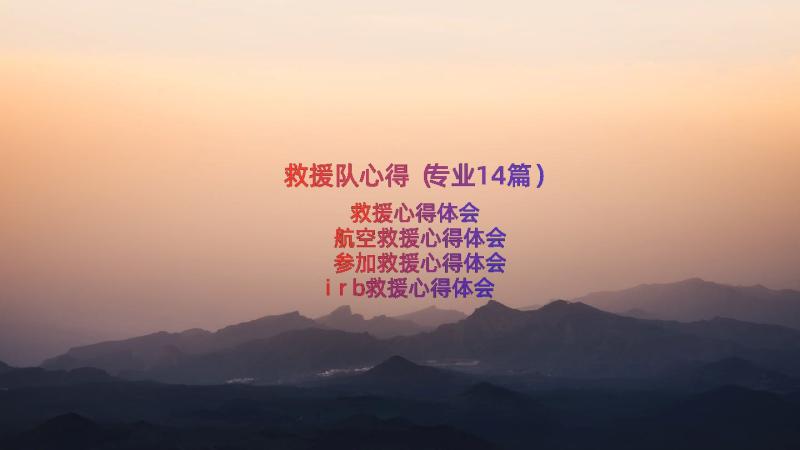 救援队心得（专业14篇）