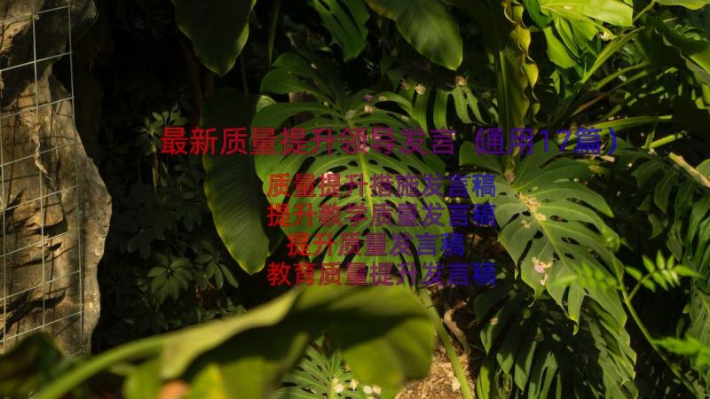 最新质量提升领导发言（通用17篇）