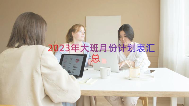 2023年大班月份计划表（汇总14篇）