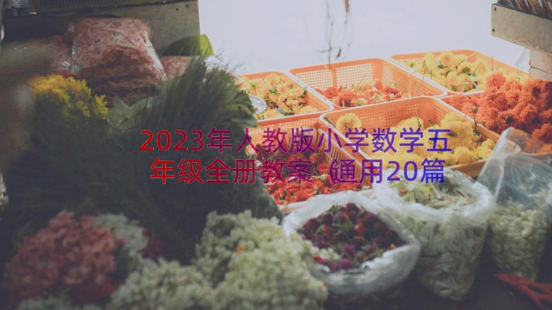 2023年人教版小学数学五年级全册教案（通用20篇）