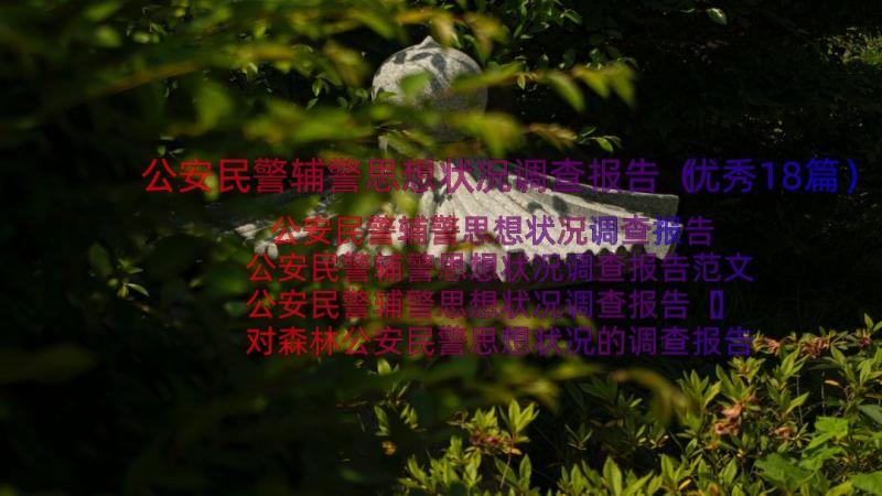 公安民警辅警思想状况调查报告（优秀18篇）