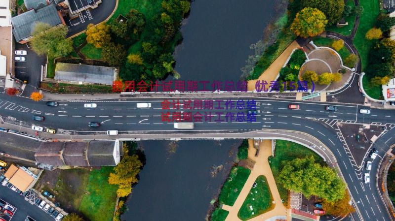 费用会计试用期工作总结（优秀15篇）