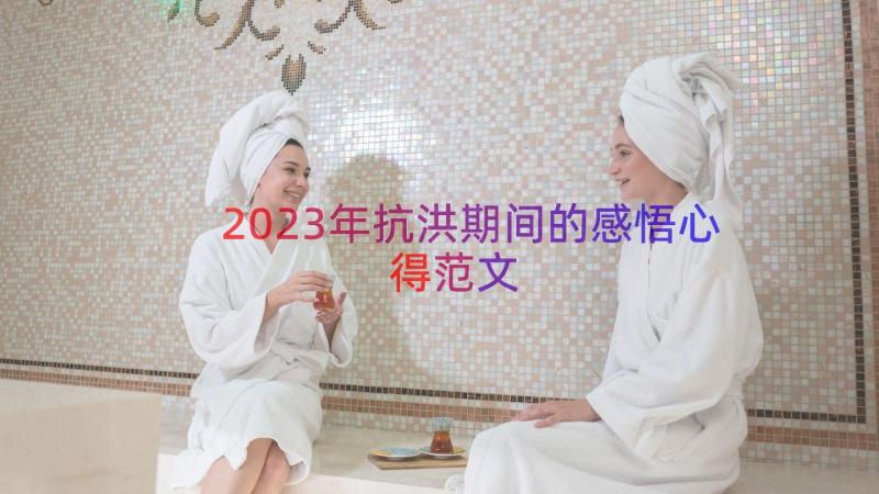 2023年抗洪期间的感悟心得范文（18篇）