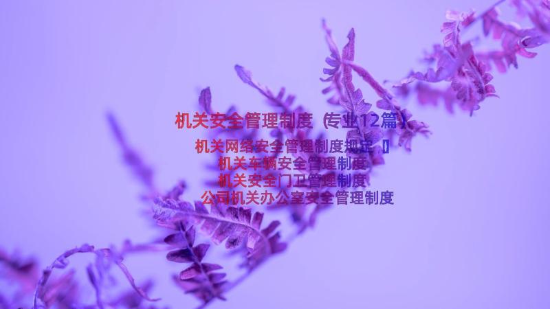 机关安全管理制度（专业12篇）