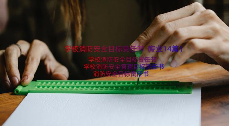 学校消防安全目标责任书（专业14篇）