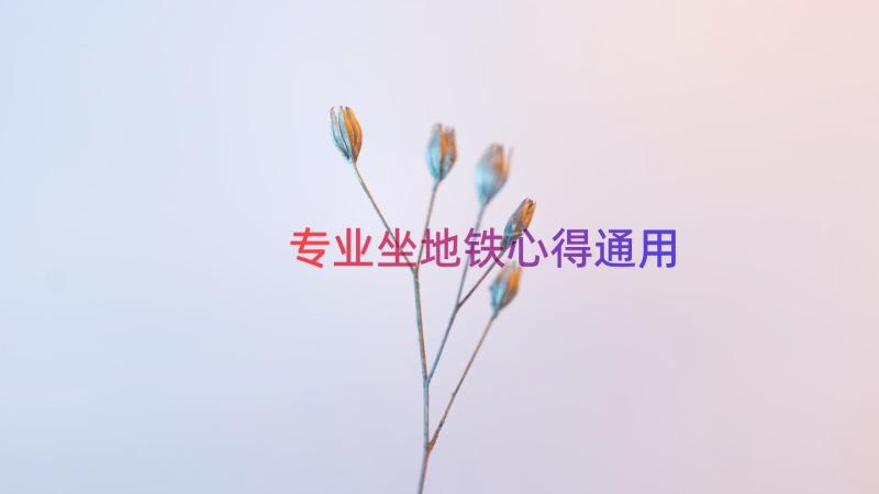 专业坐地铁心得（通用16篇）