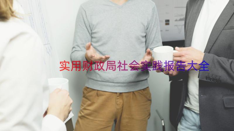 实用财政局社会实践报告大全（18篇）