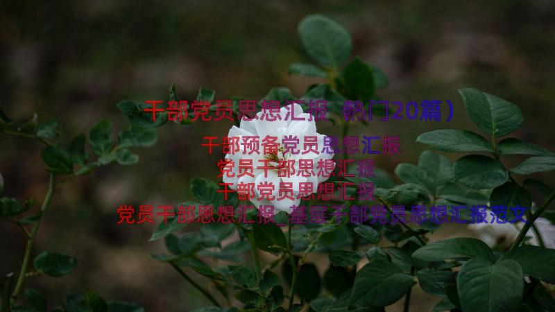 干部党员思想汇报（热门20篇）