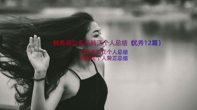 税务局公务员转正个人总结（优秀12篇）