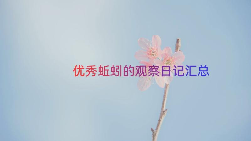 优秀蚯蚓的观察日记（汇总16篇）