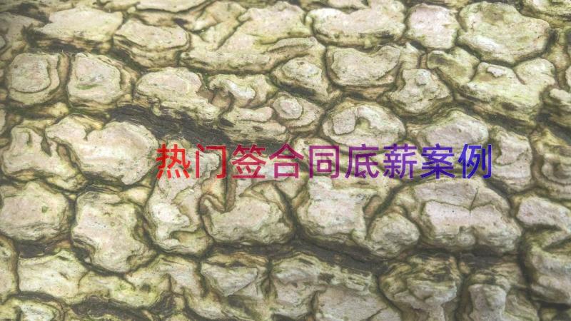 热门签合同底薪（案例18篇）