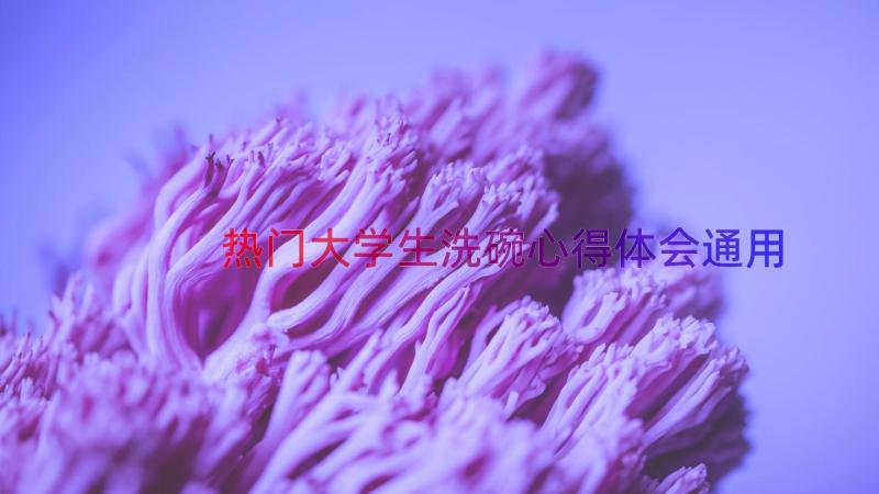 热门大学生洗碗心得体会（通用18篇）