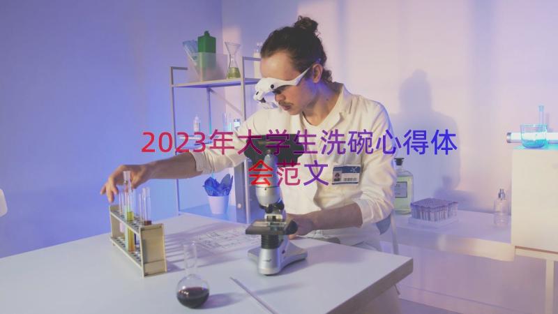 2023年大学生洗碗心得体会范文（19篇）