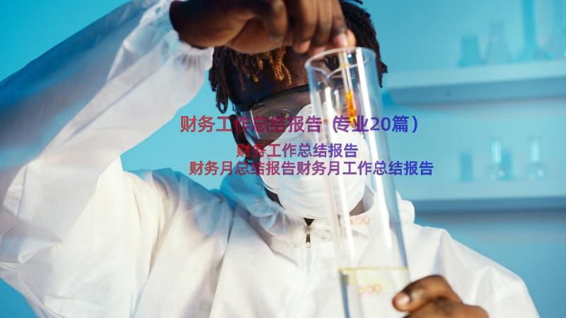 财务工作总结报告（专业20篇）