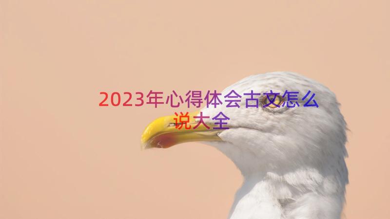 2023年心得体会古文怎么说大全（13篇）