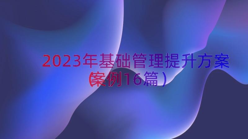 2023年基础管理提升方案（案例16篇）