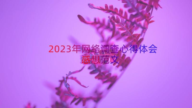 2023年网络调查心得体会感想范文（14篇）