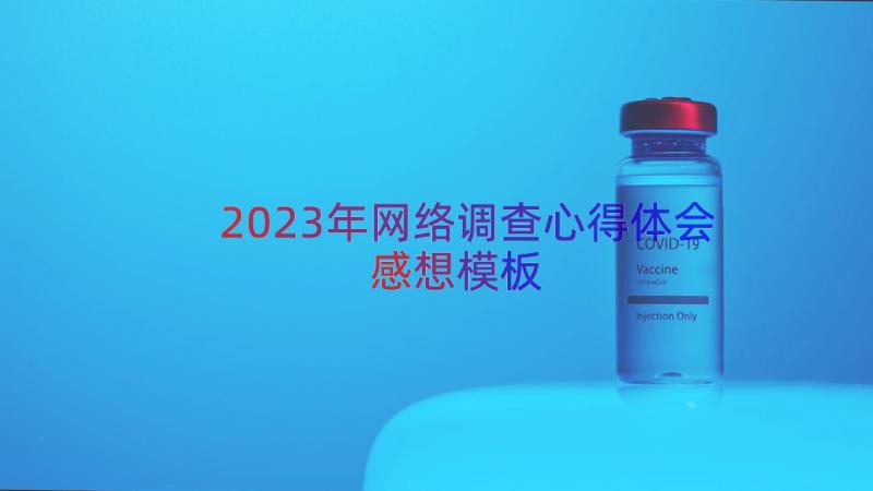 2023年网络调查心得体会感想（模板16篇）