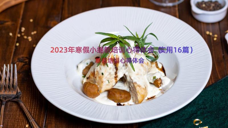 2023年寒假小继教培训心得体会（实用16篇）