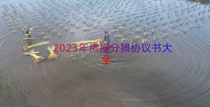 2023年房屋分摊协议书大全（17篇）