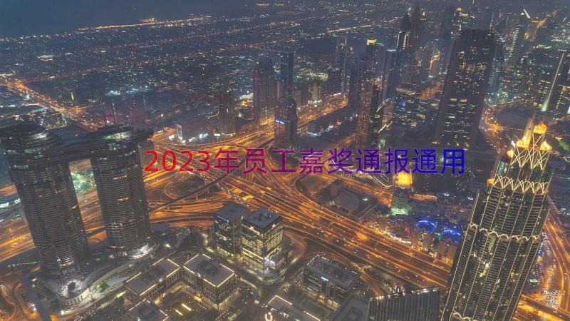 2023年员工嘉奖通报（通用13篇）