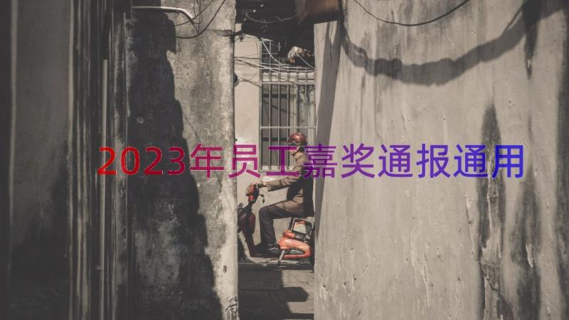 2023年员工嘉奖通报（通用14篇）