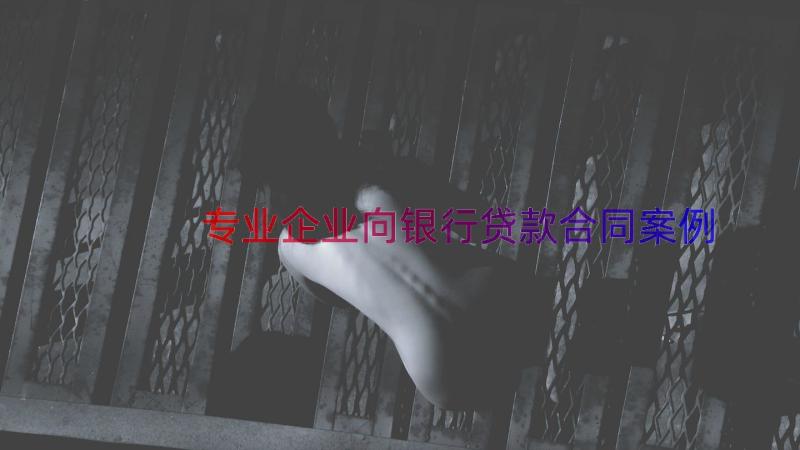 专业企业向银行贷款合同（案例16篇）